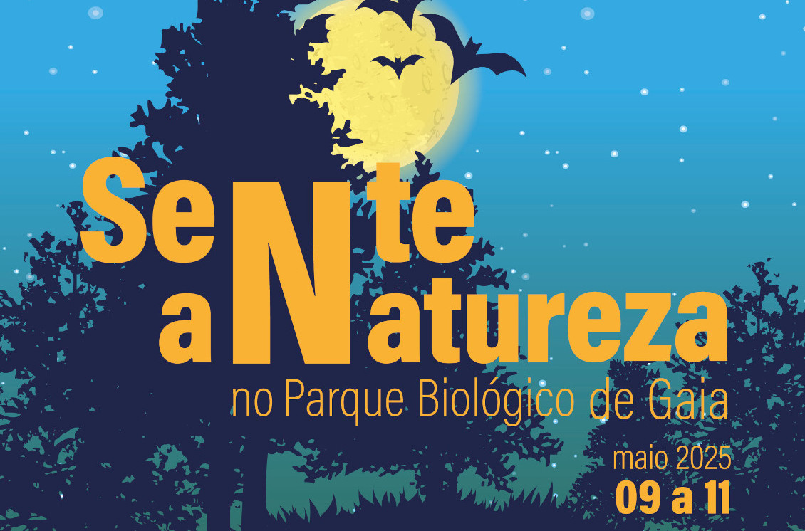 Sente a Natureza