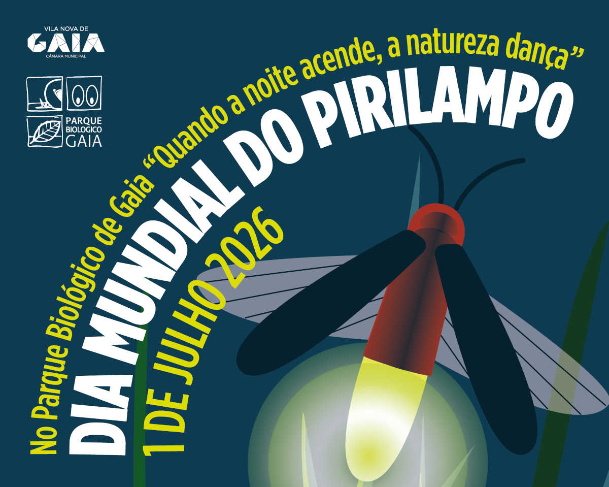 Dia Mundial do Pirilampo 