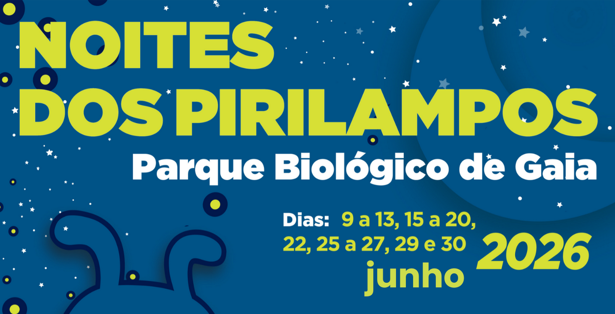 Noites dos Pirilampos