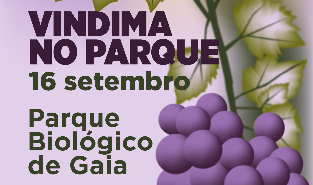 Vindima no Parque - inscrições esgotadas