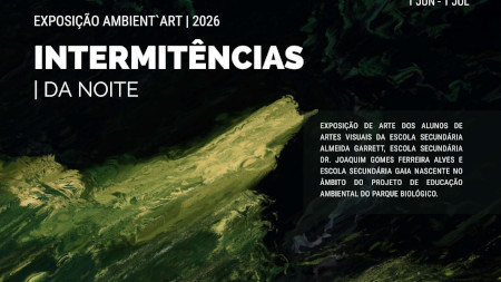Intermitências da Noite