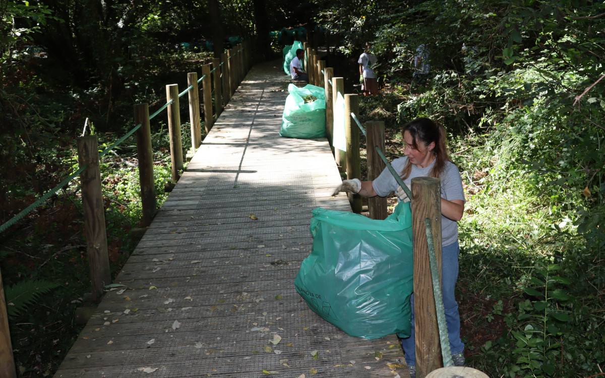 Floresta mágica com rio e plantas