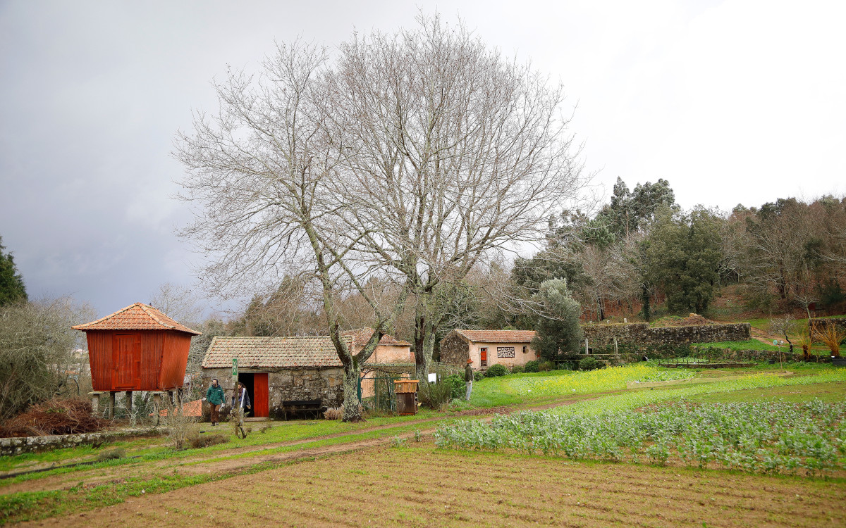 MÃOS À HORTA
