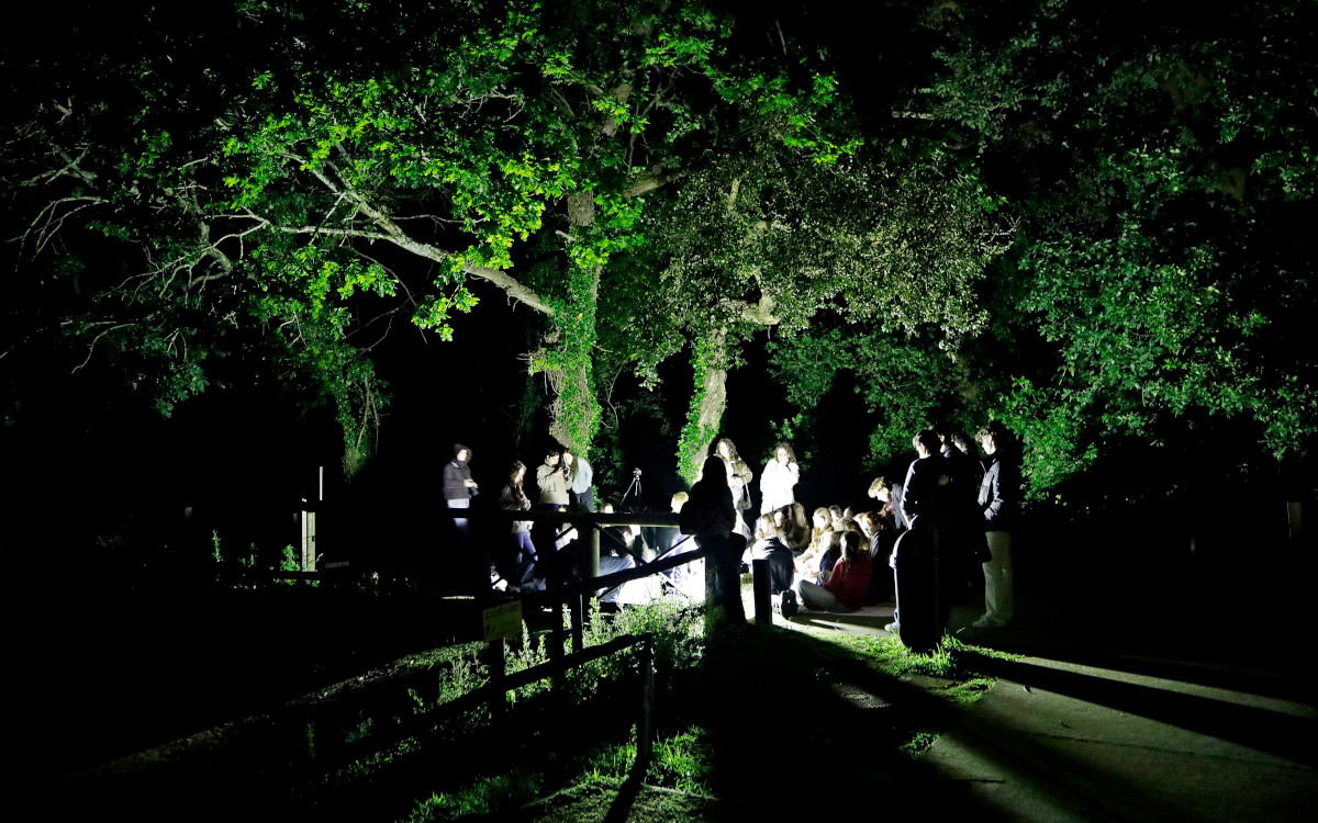 VISITA NOTURNA 