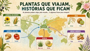PLANTAS SEM FRONTEIRAS