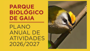 PLANO DE ATIVIDADES