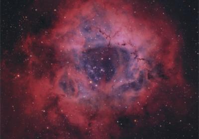 «Nebulosa da Roseta, NGC 2244» de Henrique Silva e Silva