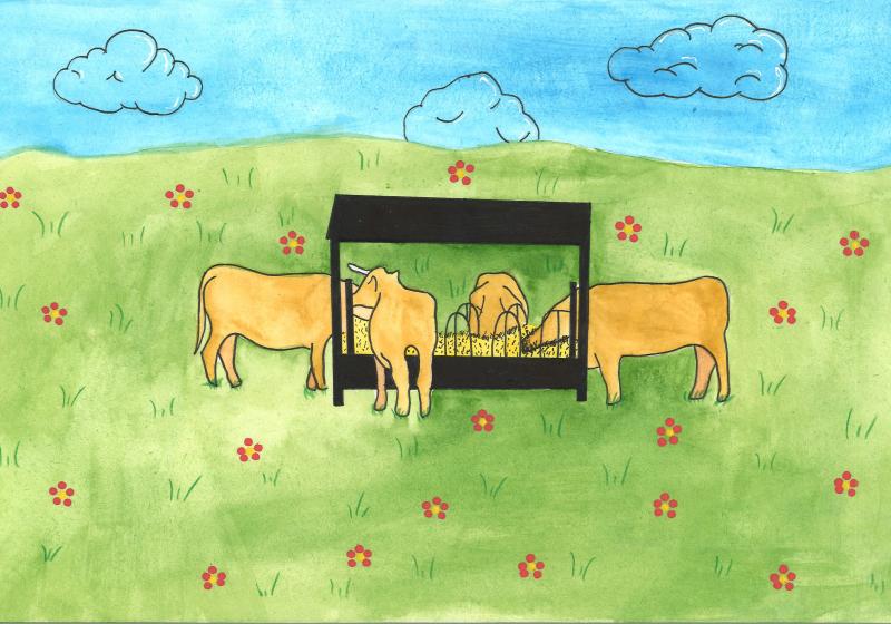 Vacas A Comer Leonoralmeida
