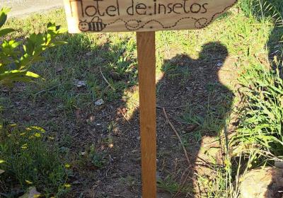 Img 20240613 192949 440a
