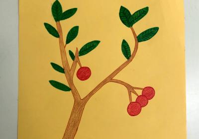 Plante Uma Arvore Nativaa