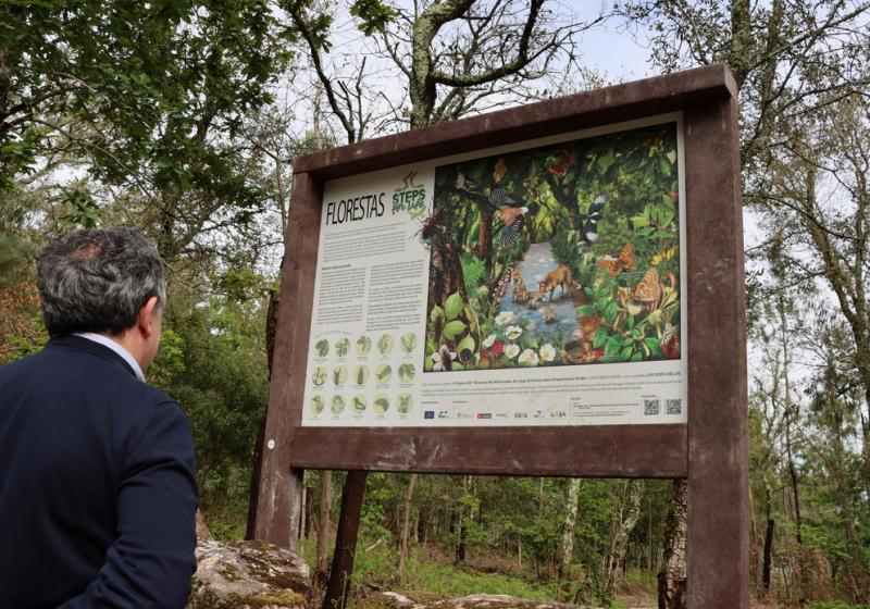 1200x695 Painelflorest