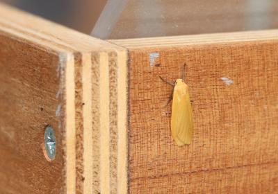  96611