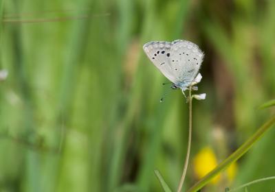 Image00083